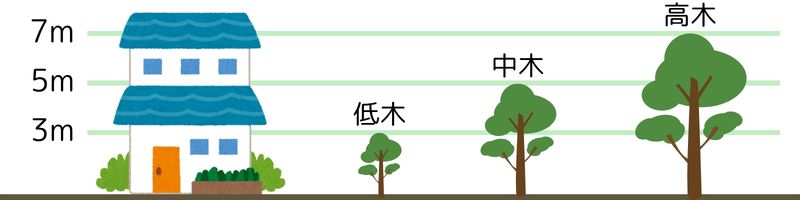 木の高さ目安