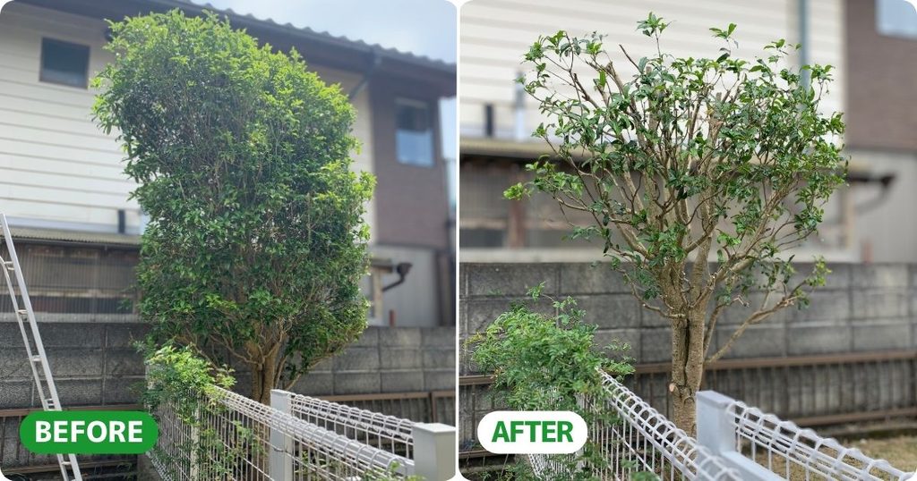 剪定作業したビフォーアフター